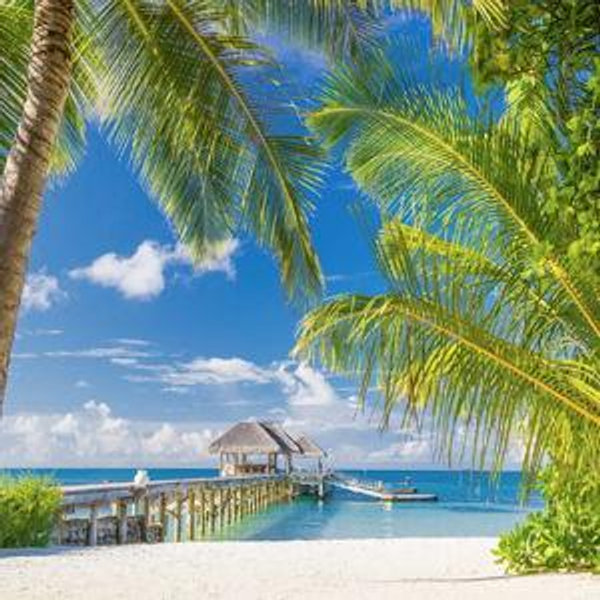 Kauai Honeymoon Fund
