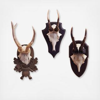 The Hunt Club Antler Trophy Reproductions, Set of 3