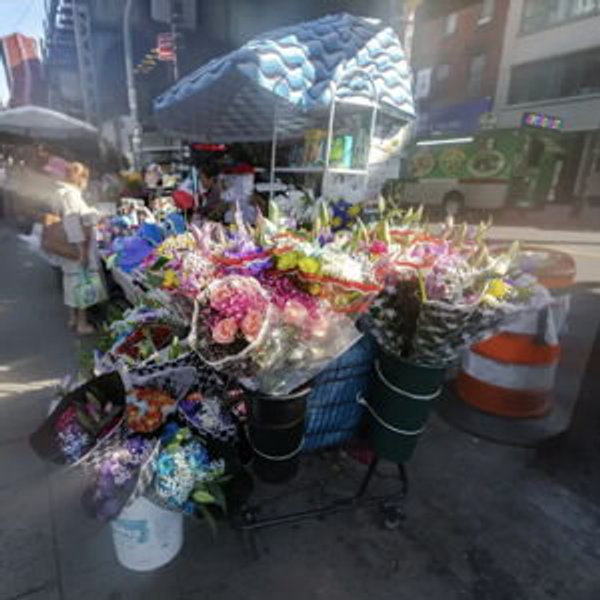 NYC Flower Cart Brooklyn - 24x36 (unframed)