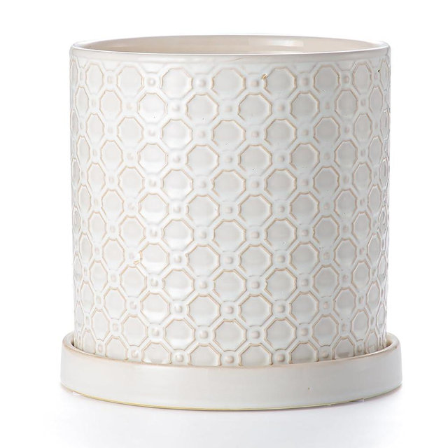Chubacoo 8 Inch Plant Pot: Ceramic Planter with Drainage Hole & Saucer Indoor Outdoor Plants - Cylinder Round Flower Pot for Home Office - Modern Decorative - Medium White