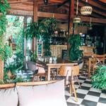 Cafe de Palo