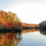 Montgomery Bell State Park