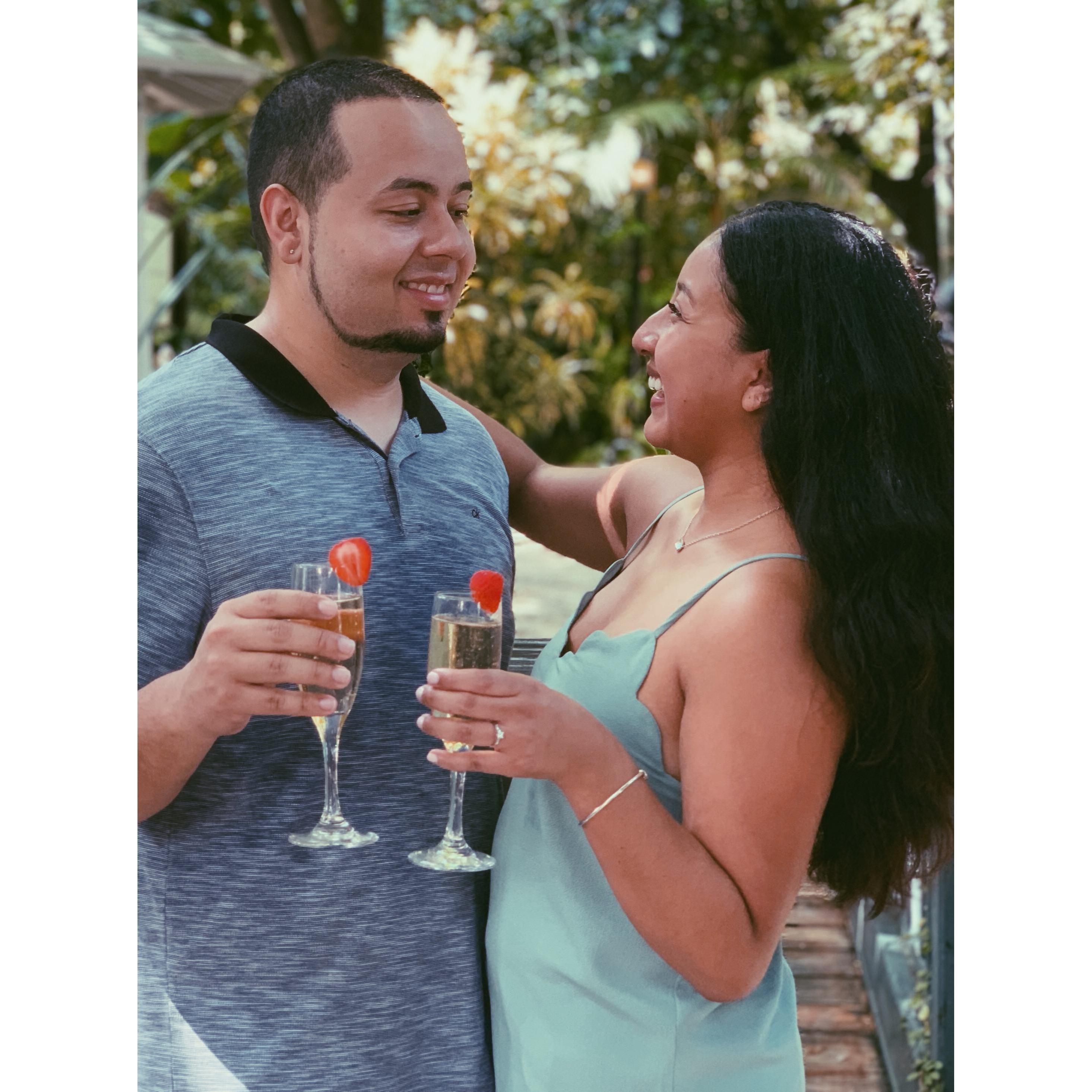 Celebrating our engagement!