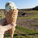 Howling Cow Dairy Education Center and Creamery