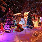 Cheyenne Mountain Zoo Christmas Lights