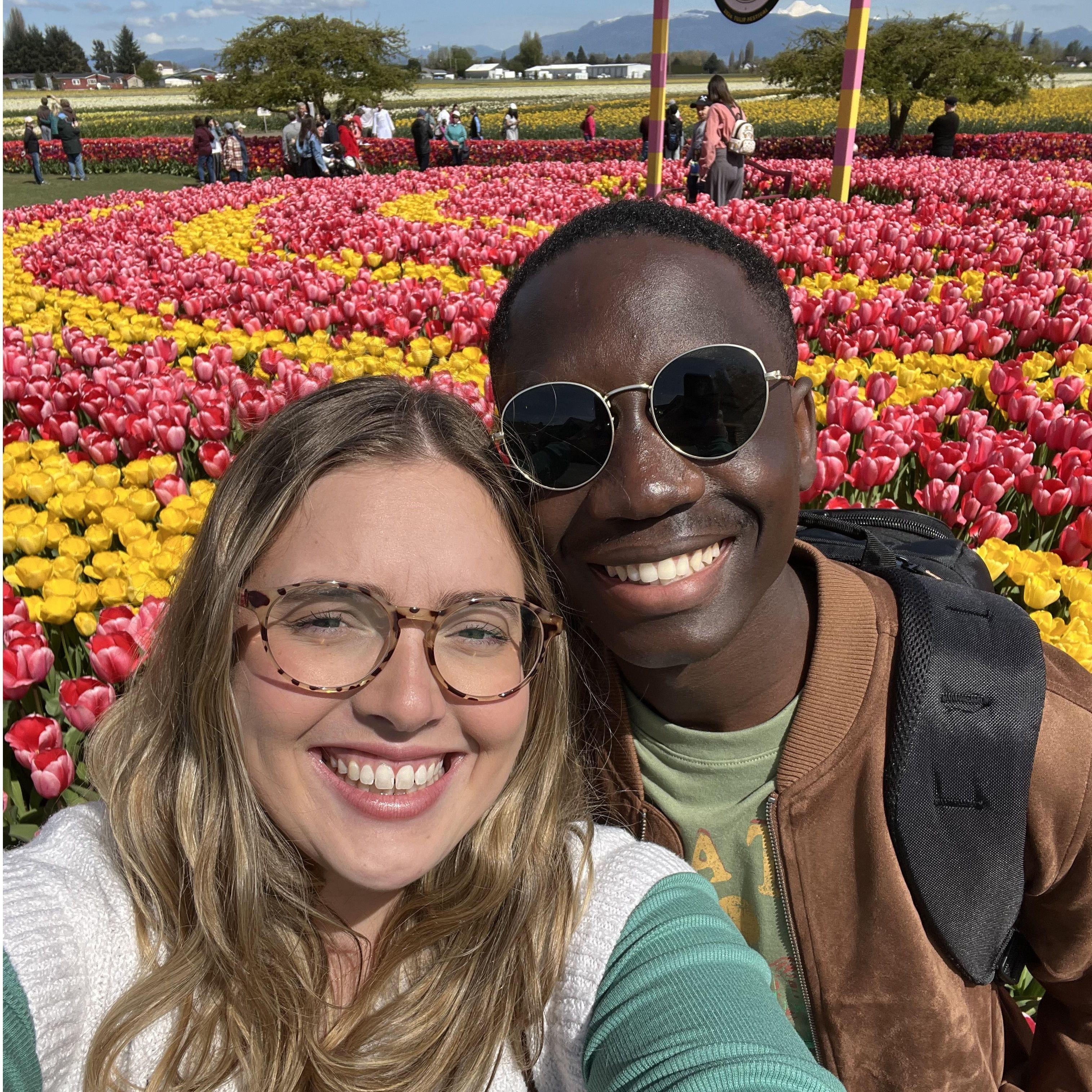 Roozengaarde- we were surrounded by thousands of tulips!
