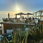 Other great restaurants
