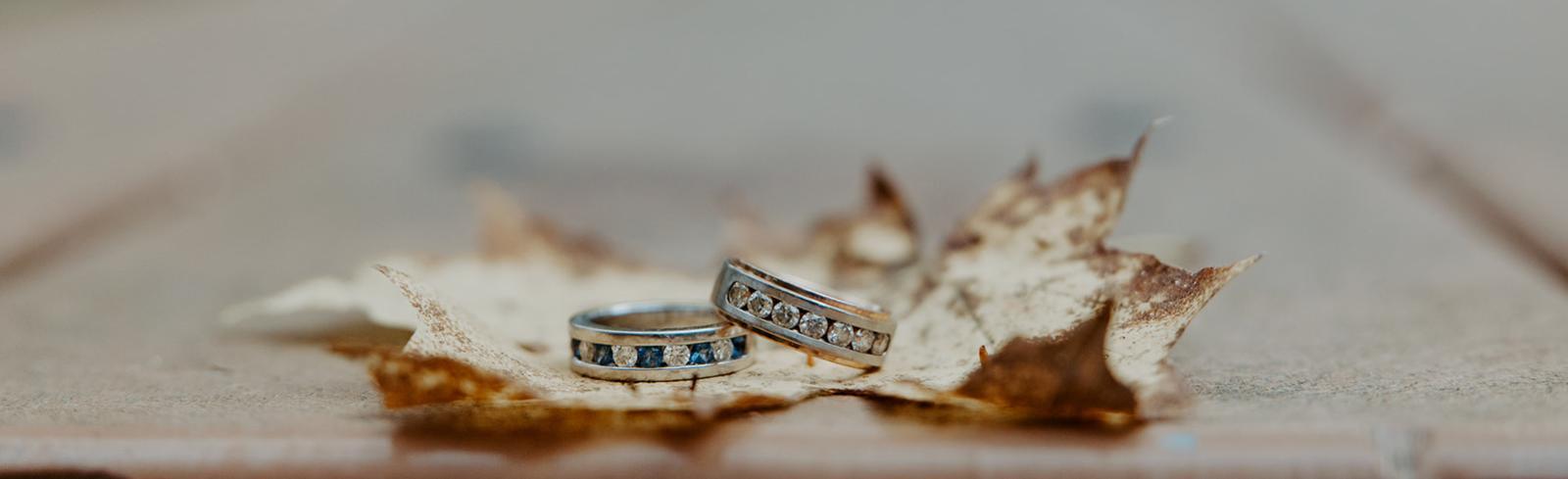 The Wedding Website of Jacob Spaulding and Seth Lewis