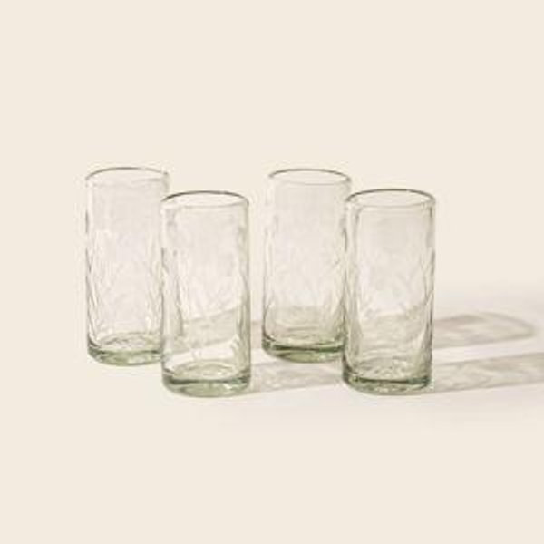 Etched Thistle Glassware - Highball Set of 4 / Clear