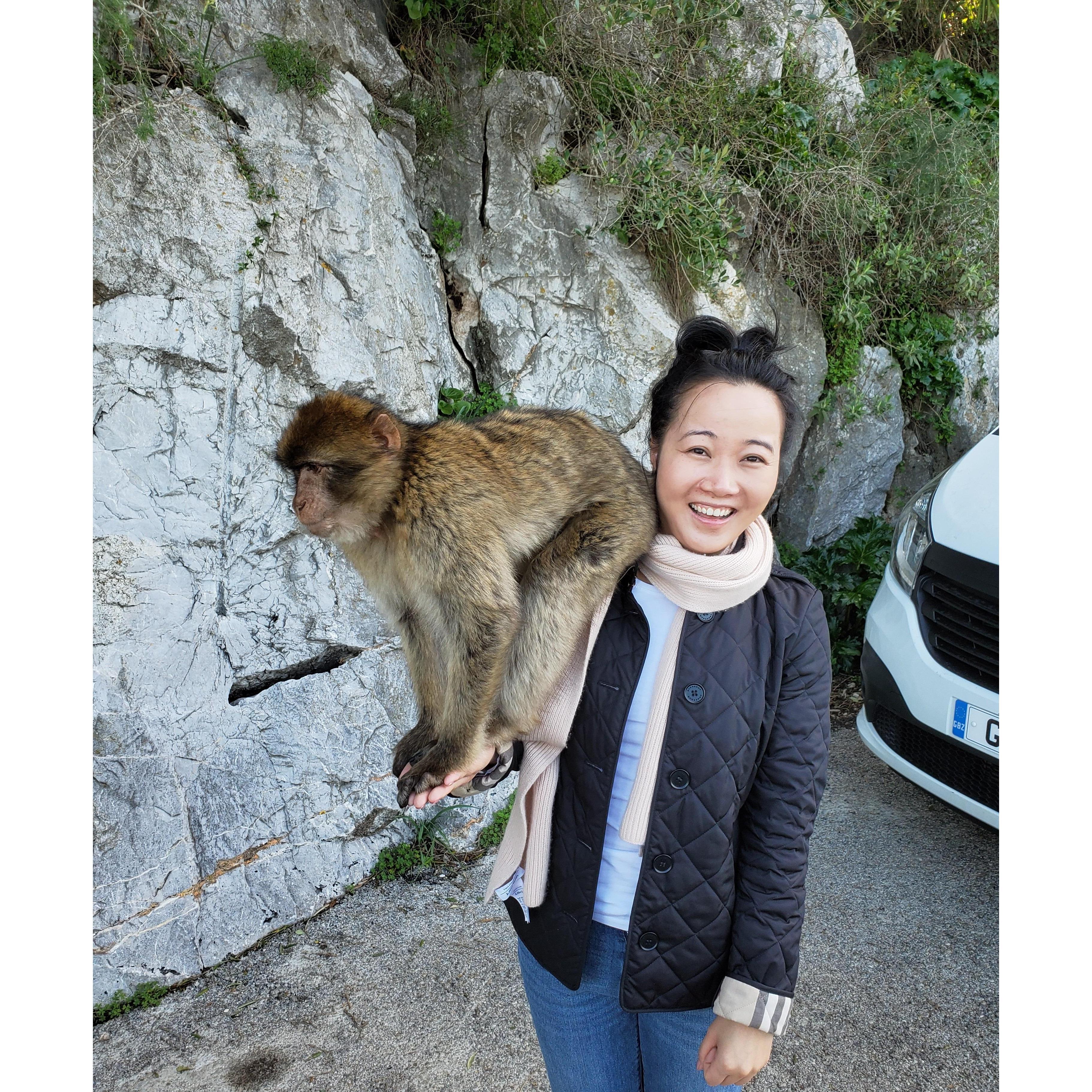 Gibraltar - as part of our family trip, we did a day trip to the southern tip of the continent - unfortunately monkeys were not allowed past the border but we made some good friends.