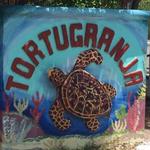 Turtle Farm