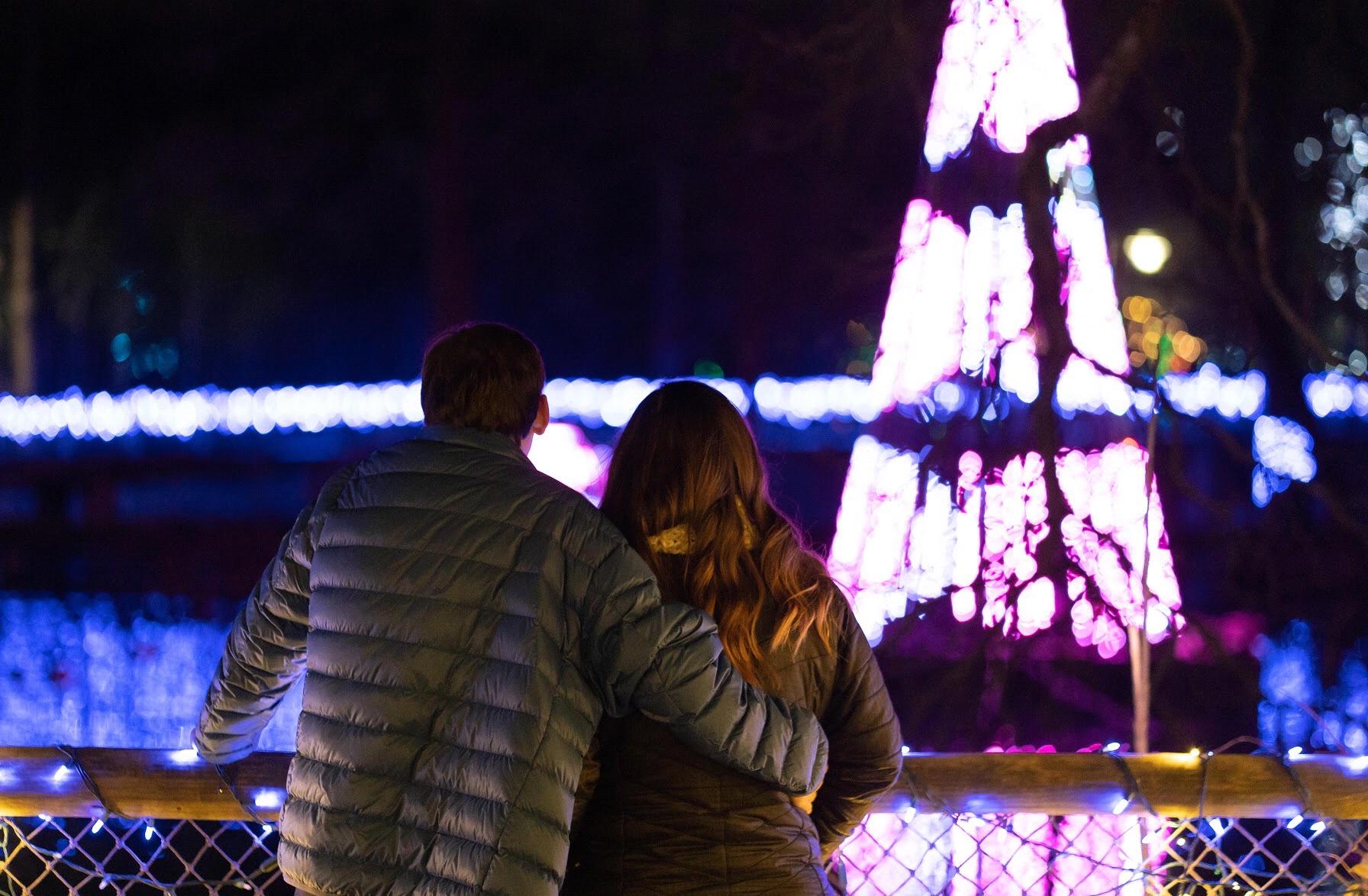 Proposal Pictures
December 18, 2020