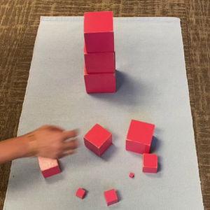 Donate to Montessori Public Policy Initiative