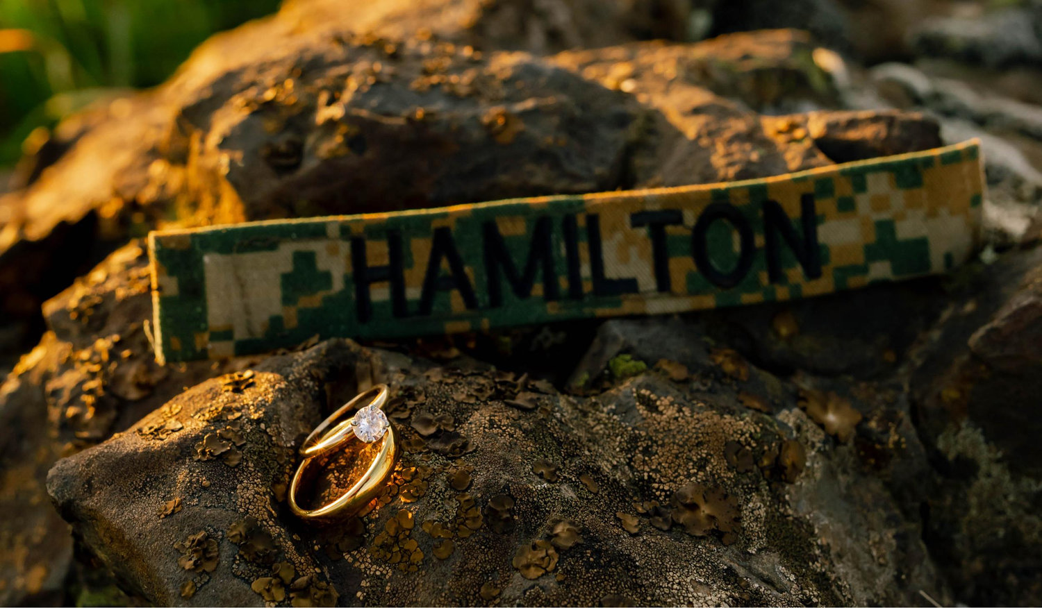 The Wedding Website of Bailey McCarthy and Jeffrey Hamilton