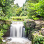Jesmond Dene