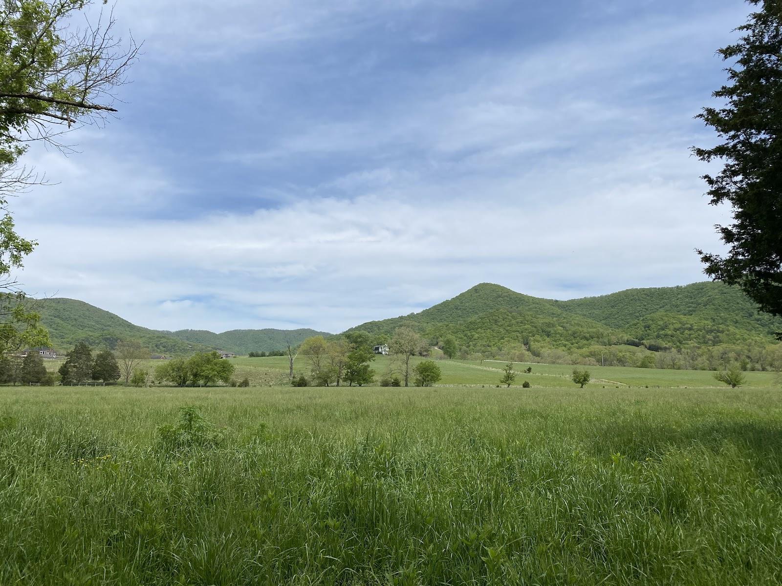 The Wedding Website of Emory Jean Yearwood and Brenden Curtis Motley