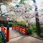 Descanso Gardens
