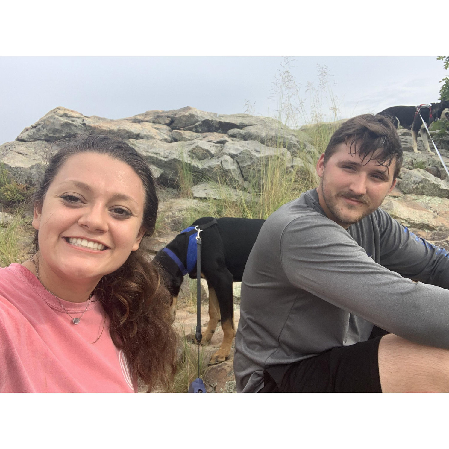 Hiking Pinnacle Mountain with the puppies! They wore us out to say the least.