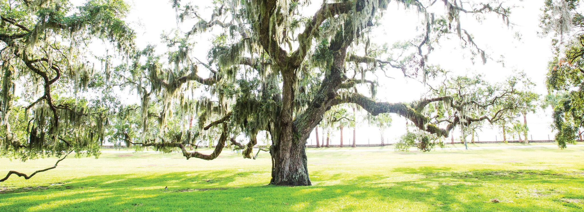 The Wedding Website of Anna Newell and Harrison DeShazo