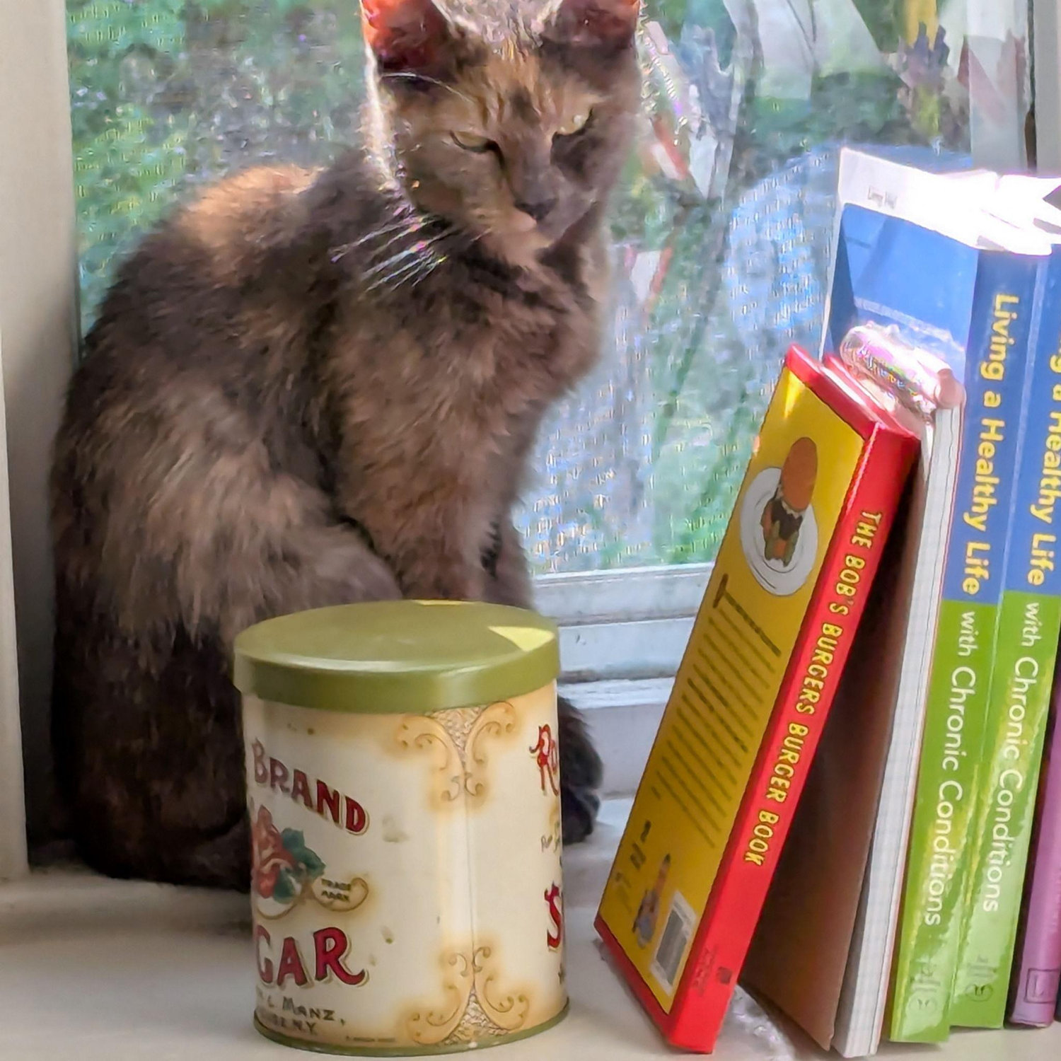 Nor'e joined our household, making our house full of love.