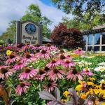 Downtown Blowing Rock