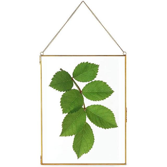 Daisylily Brass Hanging Photo Frame, Copper Glass Picture Frames Clip Modern Wall Decor Plant Specimen Artwork Ornament Display A4 812 Inch Gold Vertical