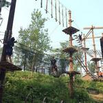 North Shore Adventure Park