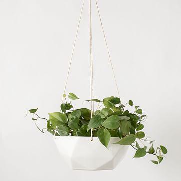 Convivial 2V Hanging Planter