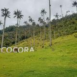 Valle del Cócora