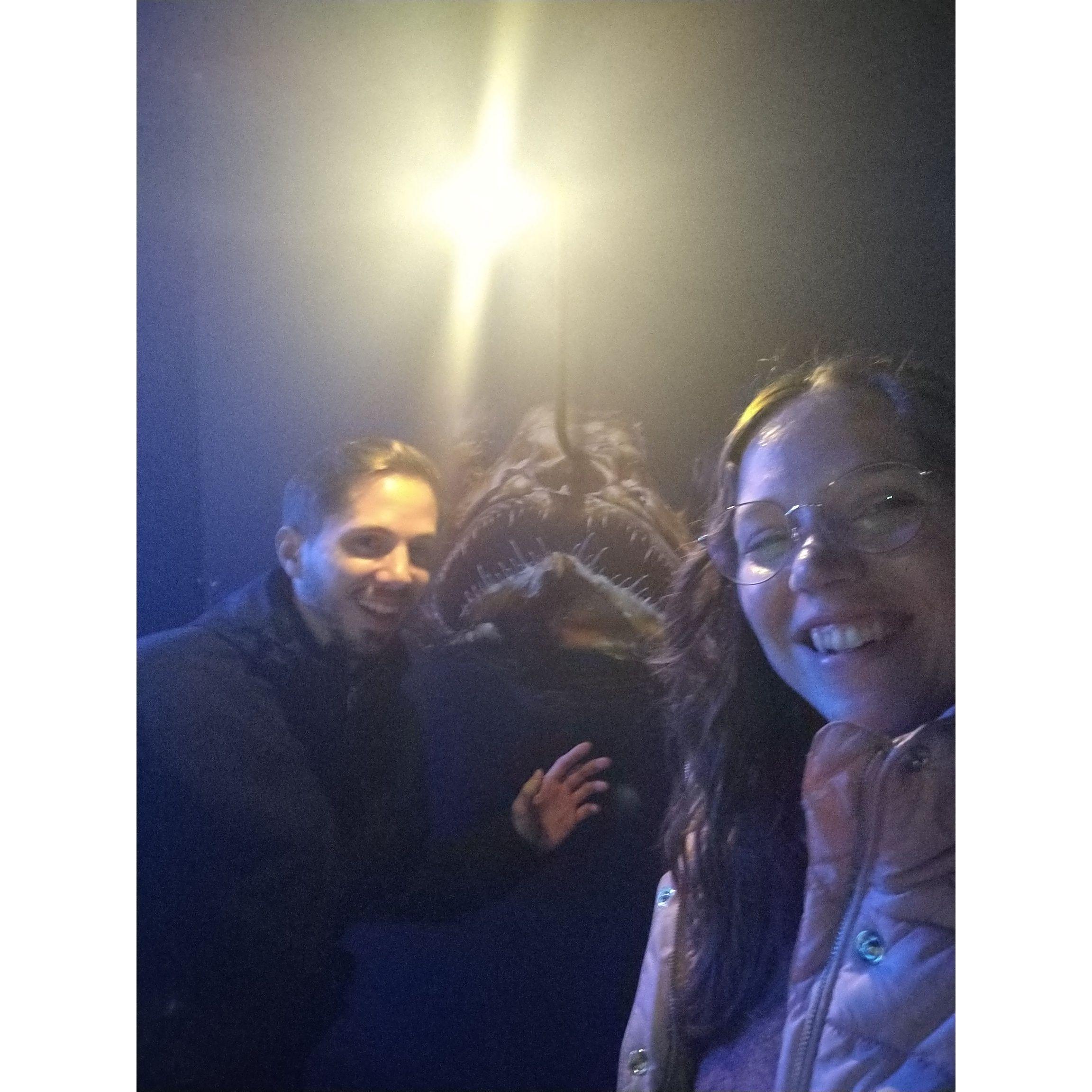 Another one of our first and favorite dates, the Düsseldorf Aquarium