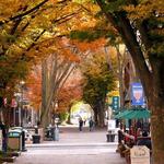 Old Town Winchester