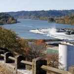 Willamette Falls