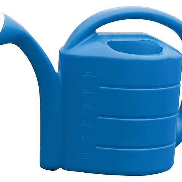 Novelty 30409 2 Gallon Deluxe Watering Can, Bright Blue