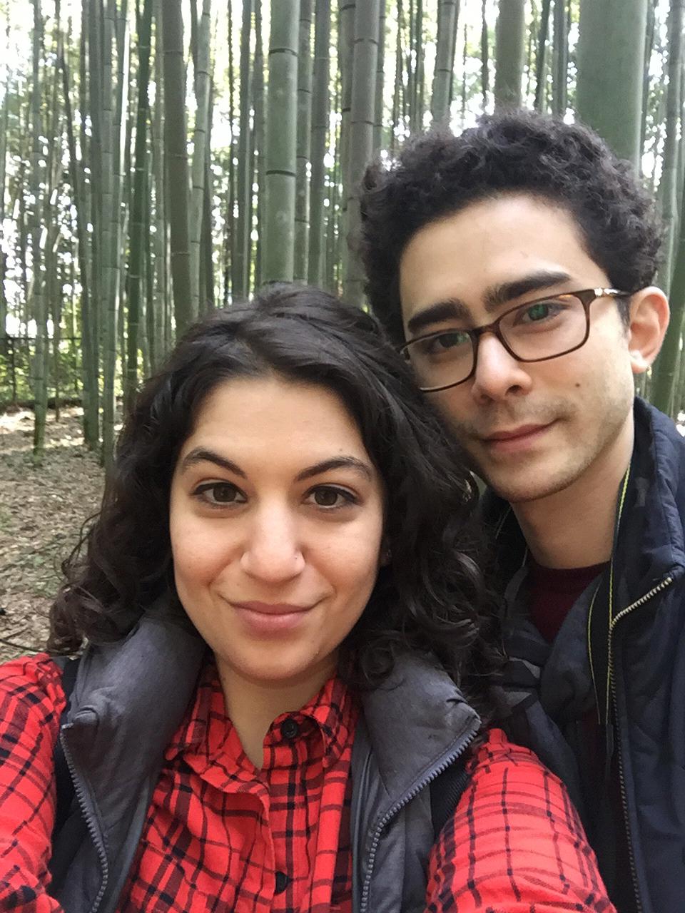 The Bamboo Forest, Kyoto, Japan - November 2016