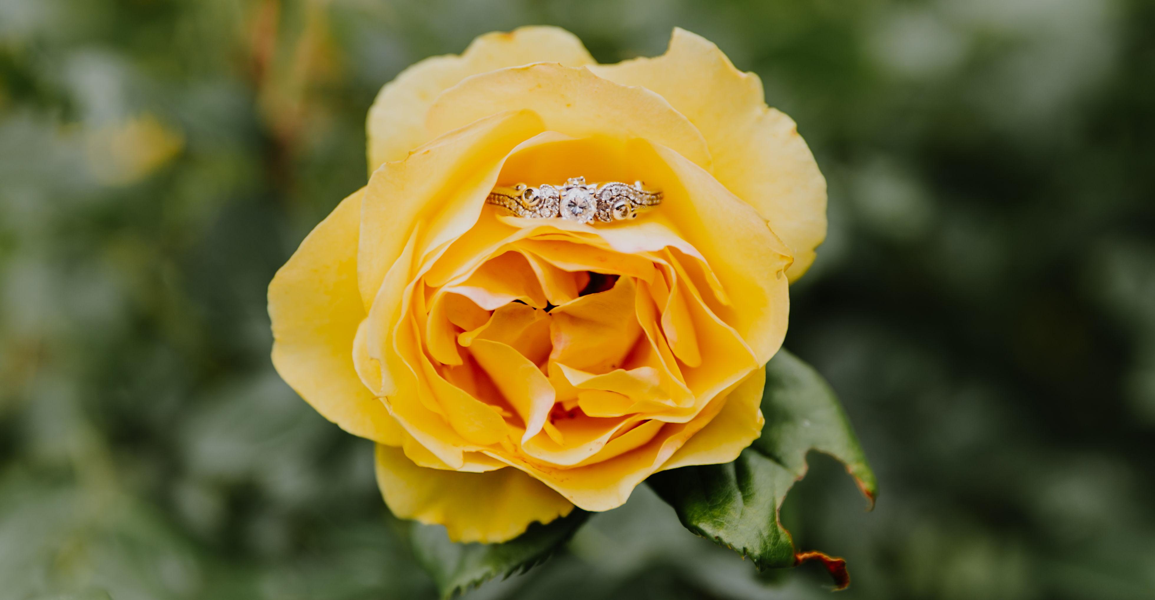 The Wedding Website of Jessica Liebeskind and Chad Krzyzaniak