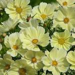 Wilson's Orchard & Farm