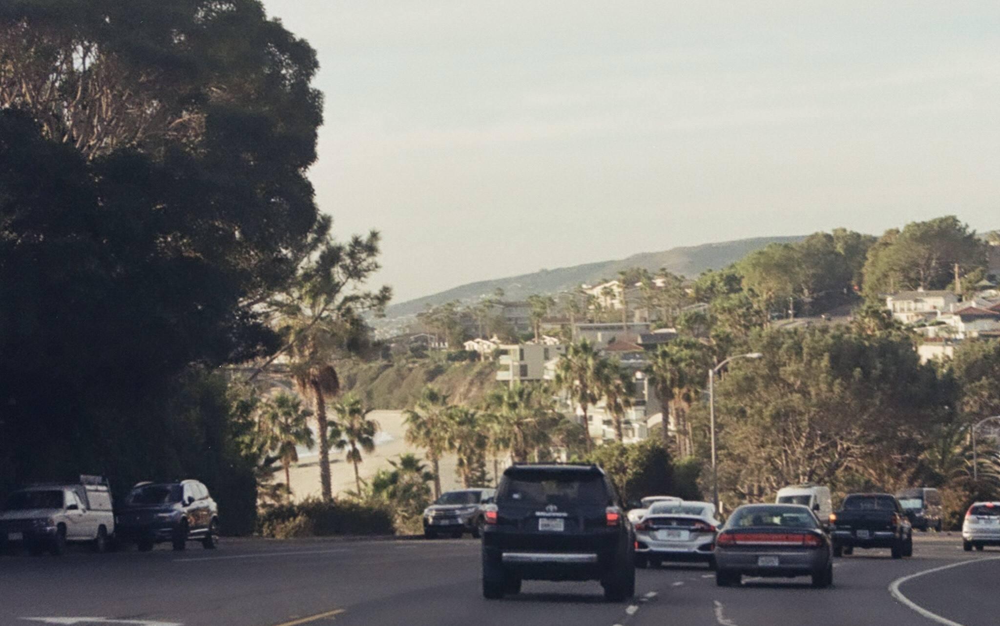 The Wedding Website of Alexandra Krogius and Harrison DellaFera