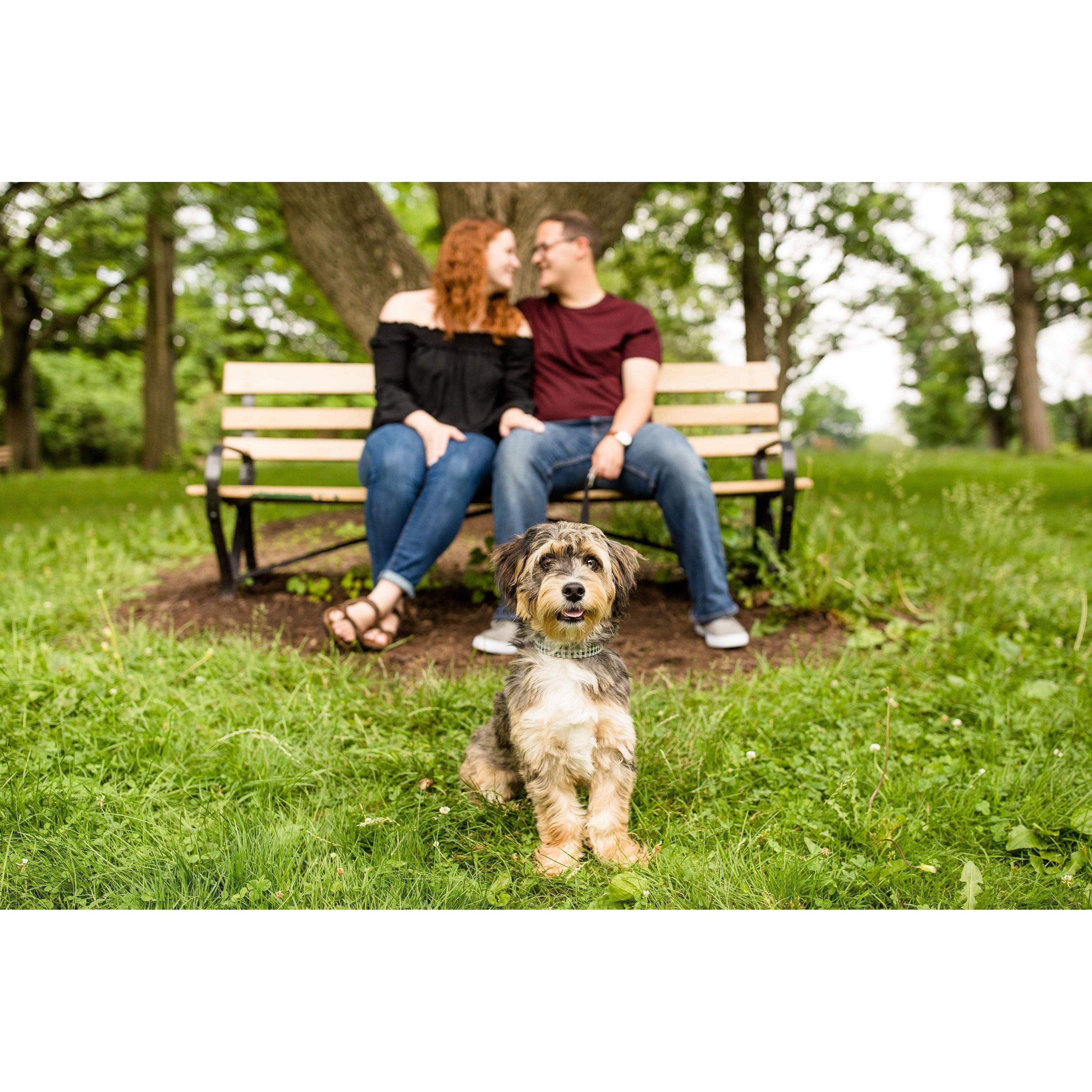 Engagement Photos