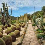 Jardí Botànic Tropical Paratge Pinya de Rosa
