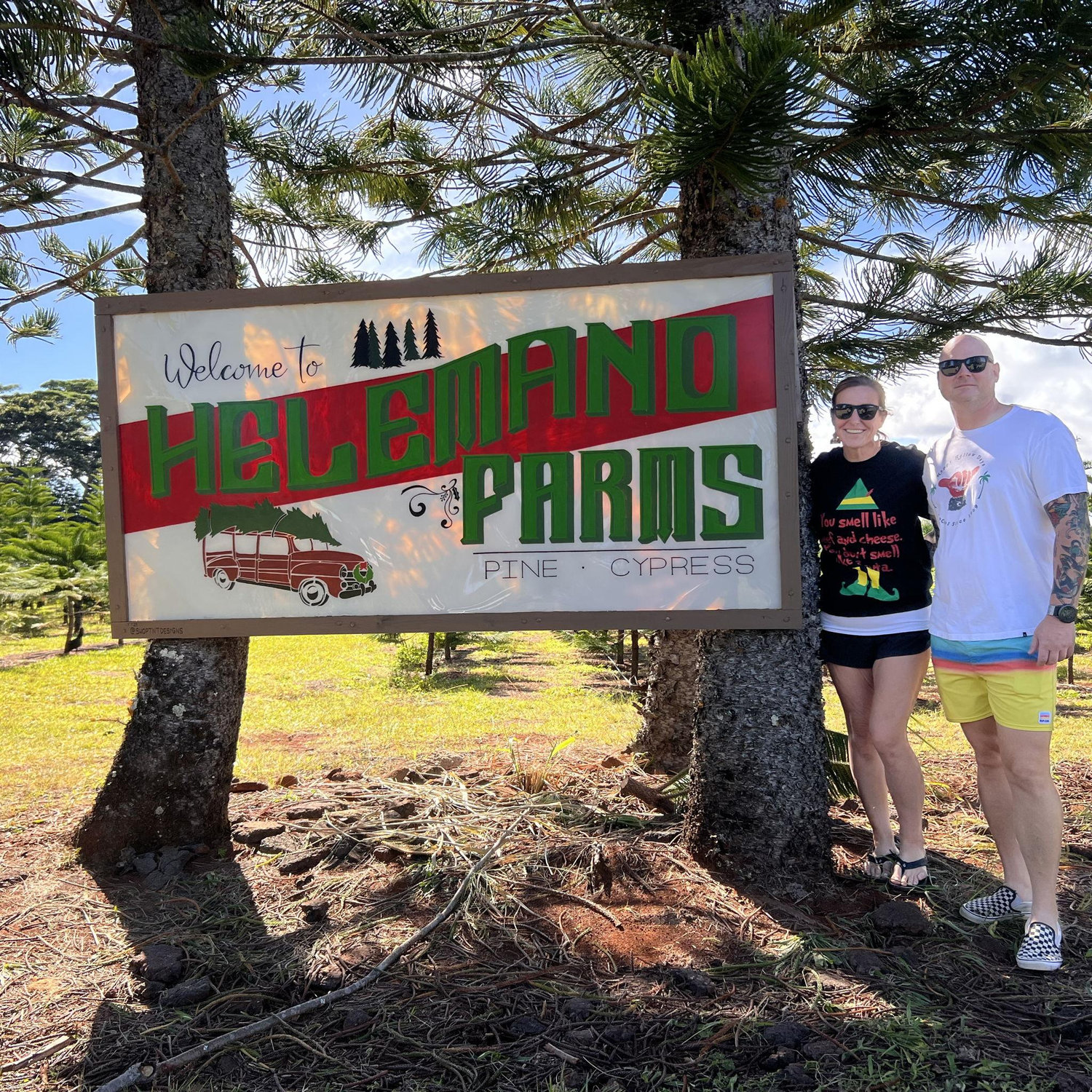 Living in Hawai‘i means hunting for the perfect Norfolk.