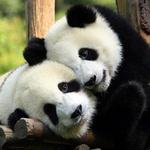 San Diego Zoo