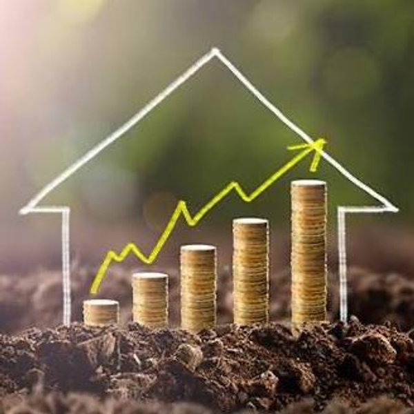 Stock/Investment Fund