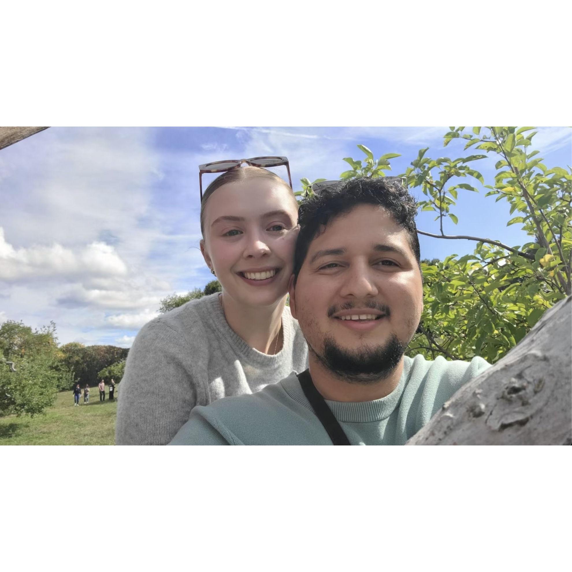 Apple picking!