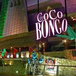 Visit the Famous Coco Bongo Night Club