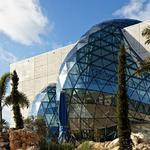 The Dalí Museum