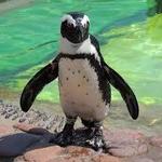 Long Island Aquarium