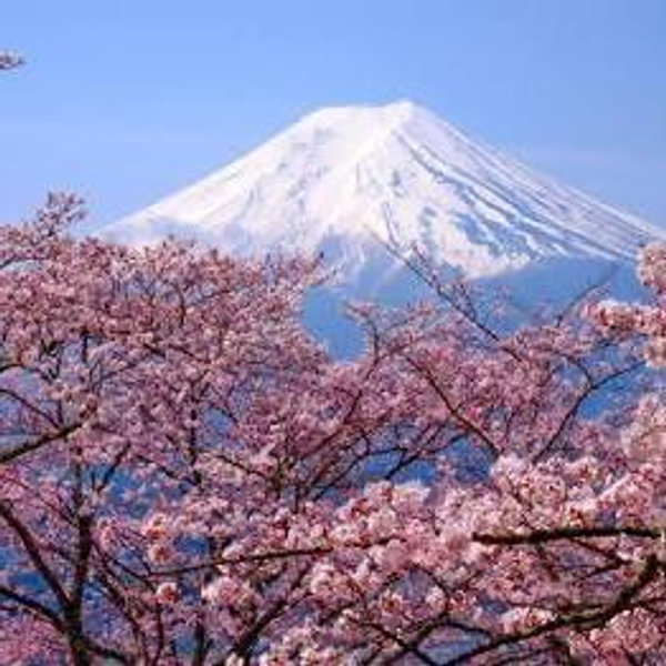 Japan Honeymoon Fund