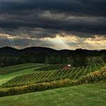 Three Sisters Vineyards & Winery