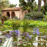 Lotusland