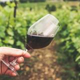 Area Breweries, Wineries, and Distilleries